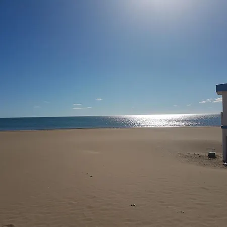 Narbonne-plage: Superbe T3 60m², 6 Pers, Balcon, Parking, Proche & Commerces - Fr-1-795-7 Appartamento